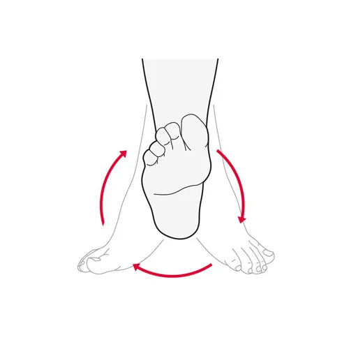 Ankle rotation