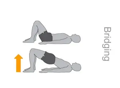 Bridge exercise