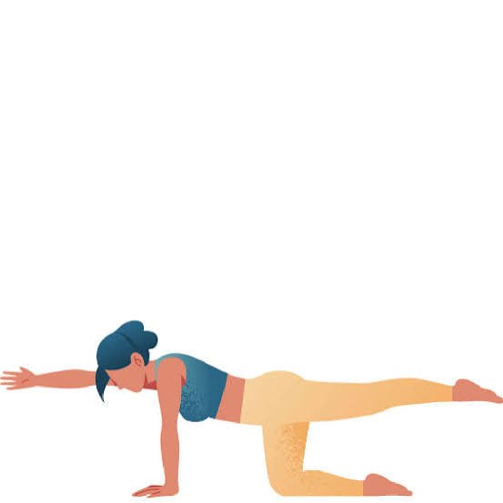 Bird-Dog-Pose
