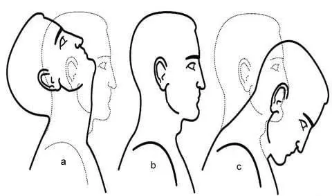 Forward neck bends (neck flexion and extension)