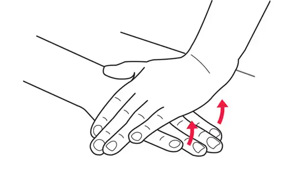Palm lift