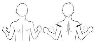 Scapula squeeze