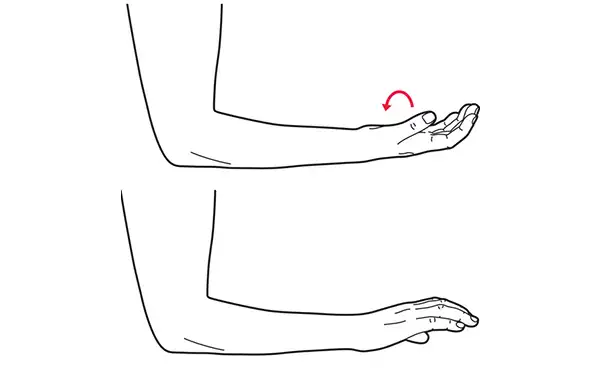 Wrist turn